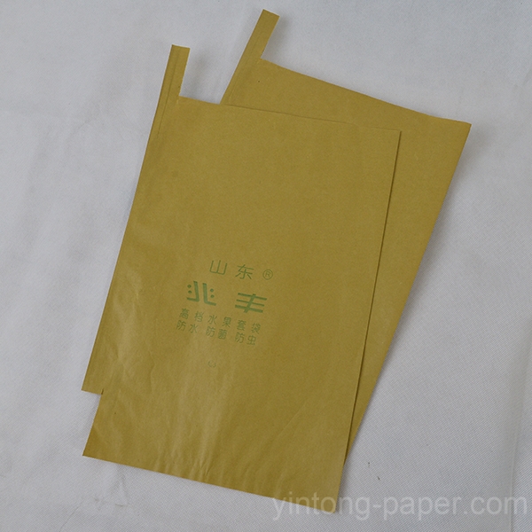 Fruit bag LAIYANG YINTONG PAPERMAKING CO.,LTD